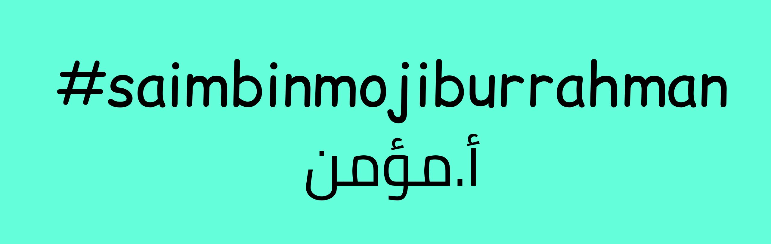 Saim Bin Mojibur Rahman